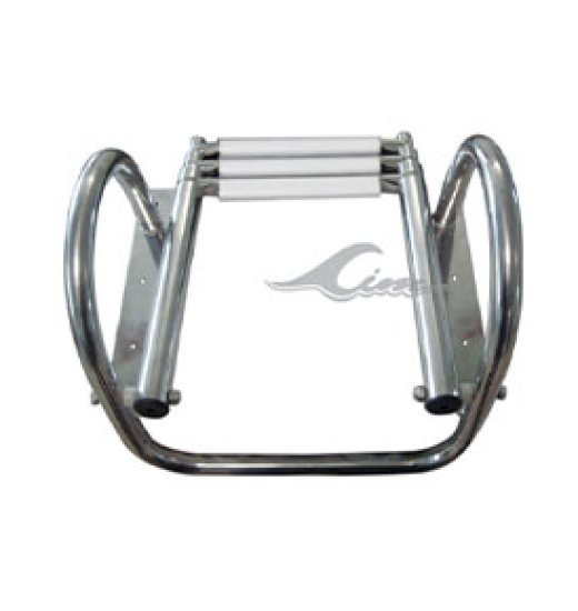 Telescopic Ladder with Handrail-469