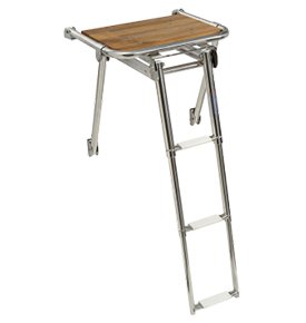 PLATFORM WITH TELESCOPIC LADDER