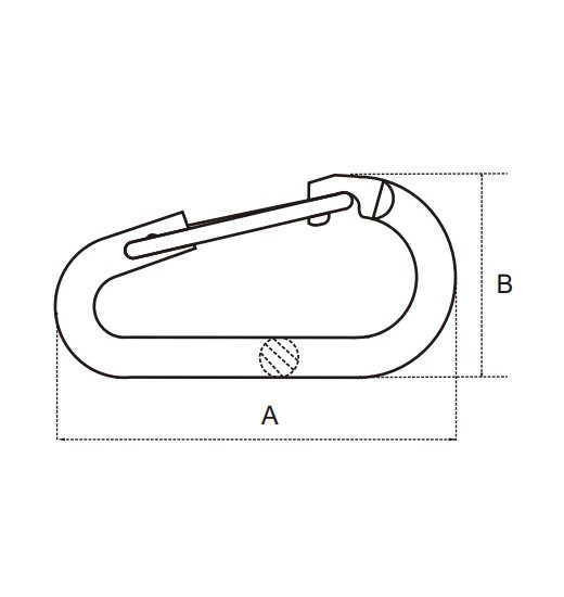 OVAL SNAP HOOK AISI316,WITH FLAT NOSE AND WIRE SPRING-2784