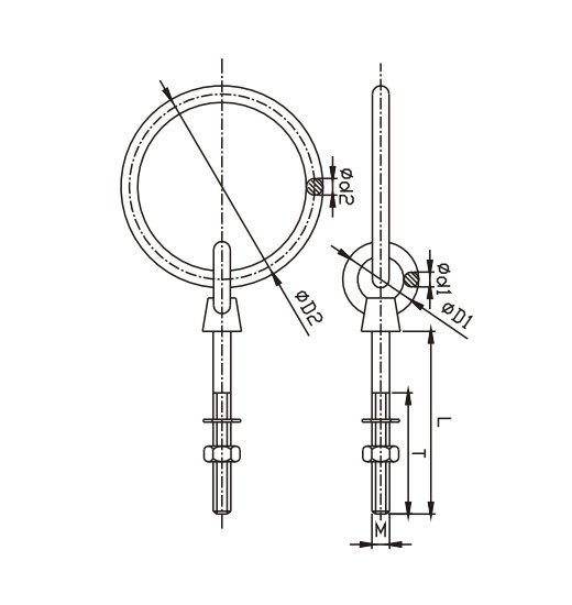 RING BOLT WITH NUT AND WASHER-2875