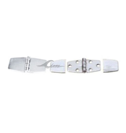 HINGES AISI316-2989