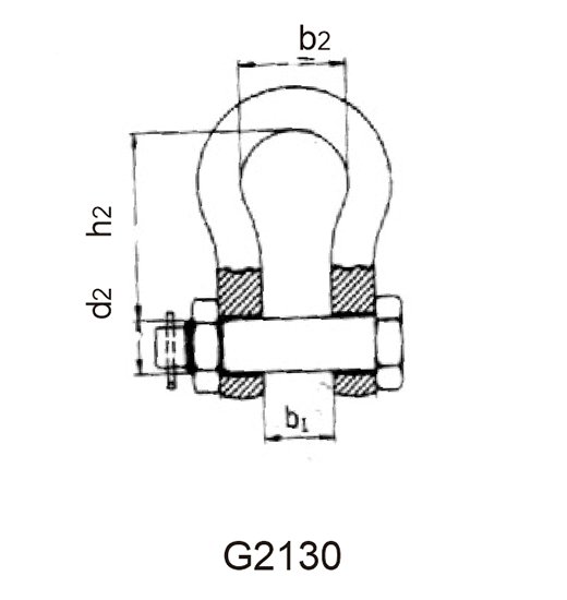 HIGH TENSILE SHACKLE-3102